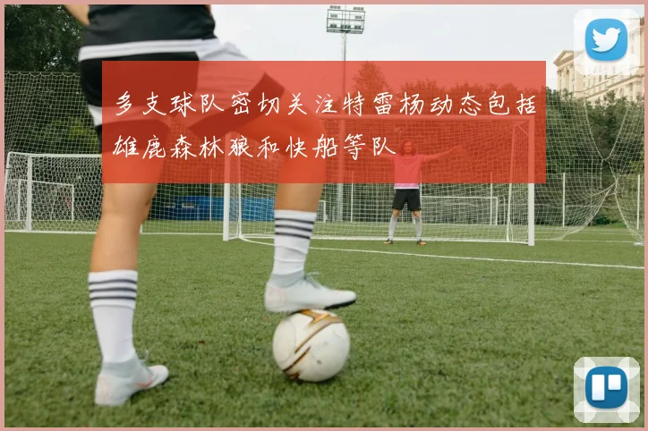 多支球队密切关注特雷杨动态包括雄鹿森林狼和快船等队